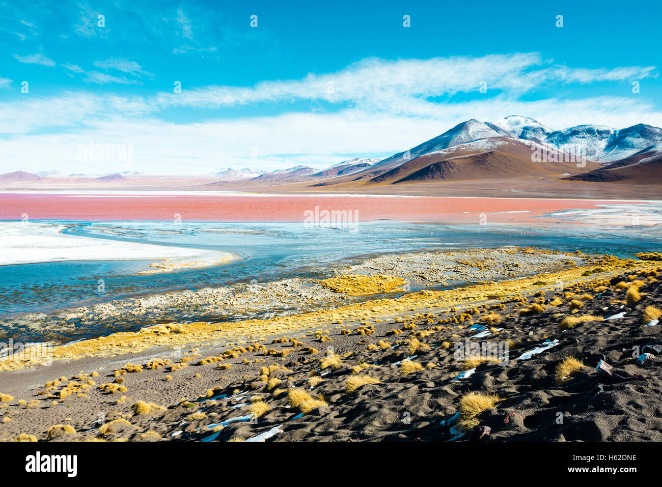 Bolivia, Altiplano, Eduardo Avaroa Andean Fauna National Reserve, Laguna Colorada Stock Photo