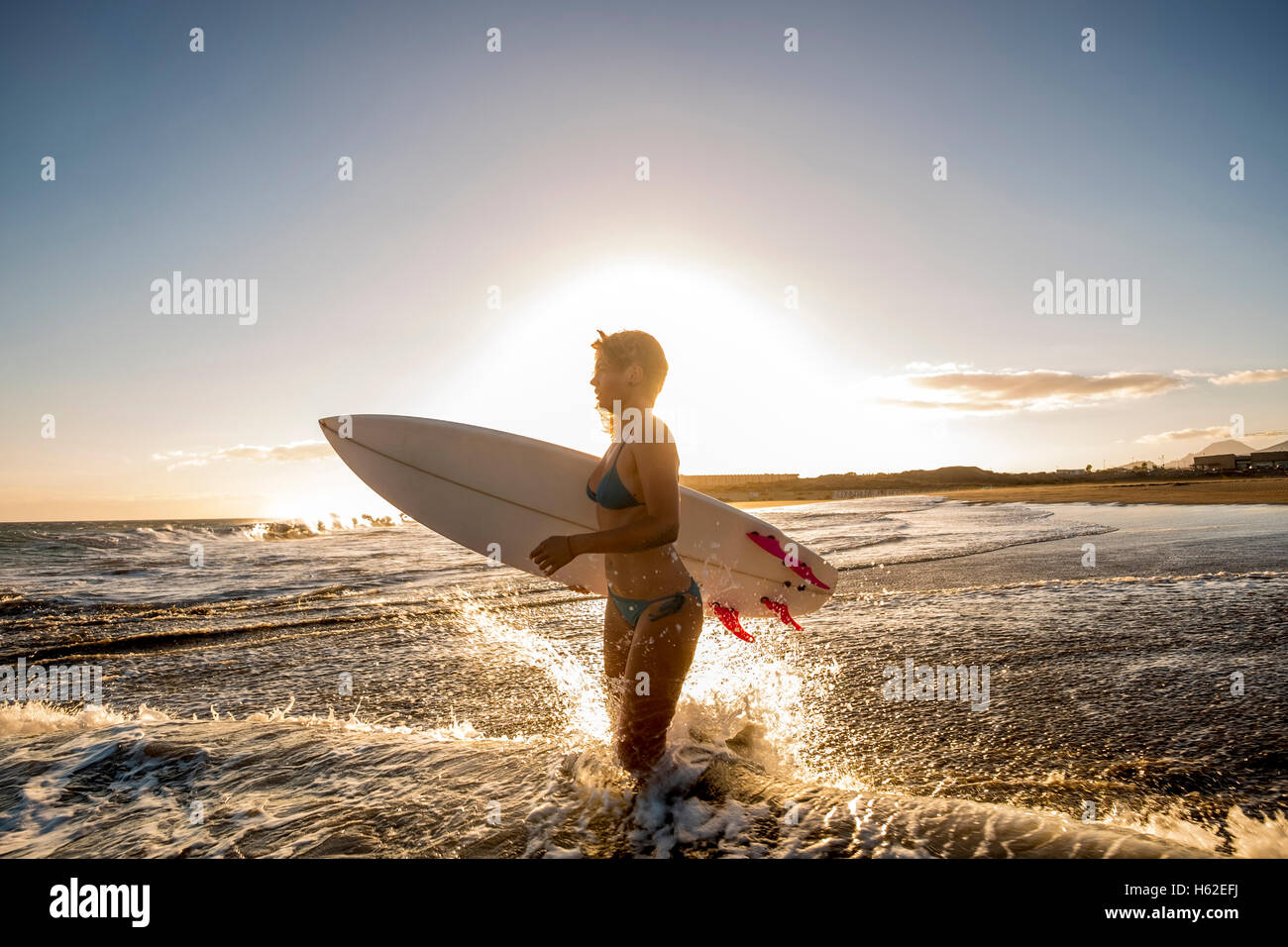 Spain, Tenerife, young female surfer at sunset Stock Photo - Alamy