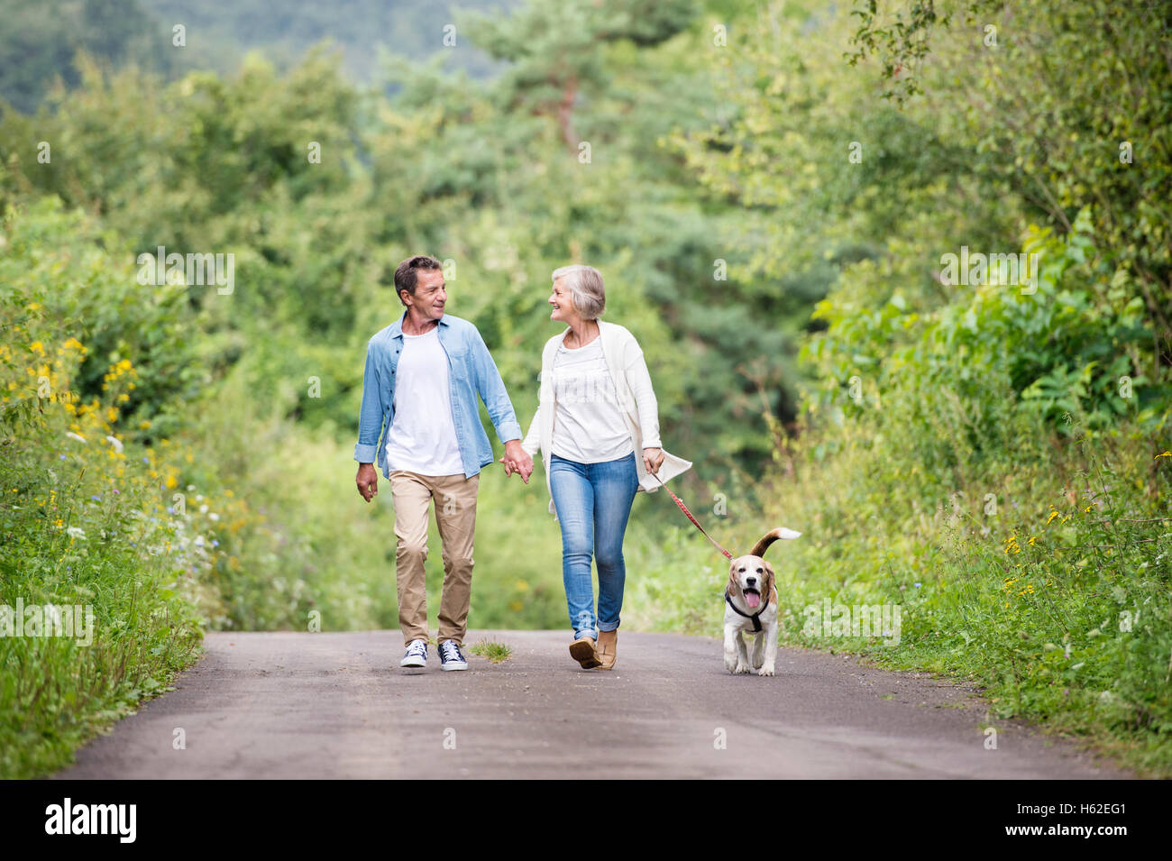 Happy senior couple on a walk with dog in nature Stock Photo - Alamy