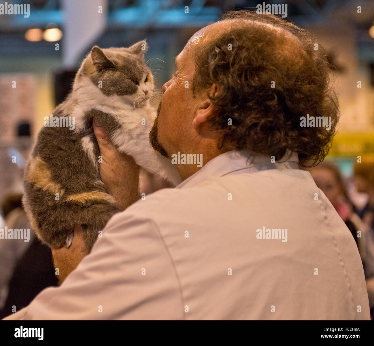 Birmingham, UK. 22nd October, 2016. NEC Birmingham. Supreme Cat Show. Judges inspect the cats at Supreme Cat Show at Birmingham's NEC. Credit:  charlie bryan/Alamy Live News Stock Photo