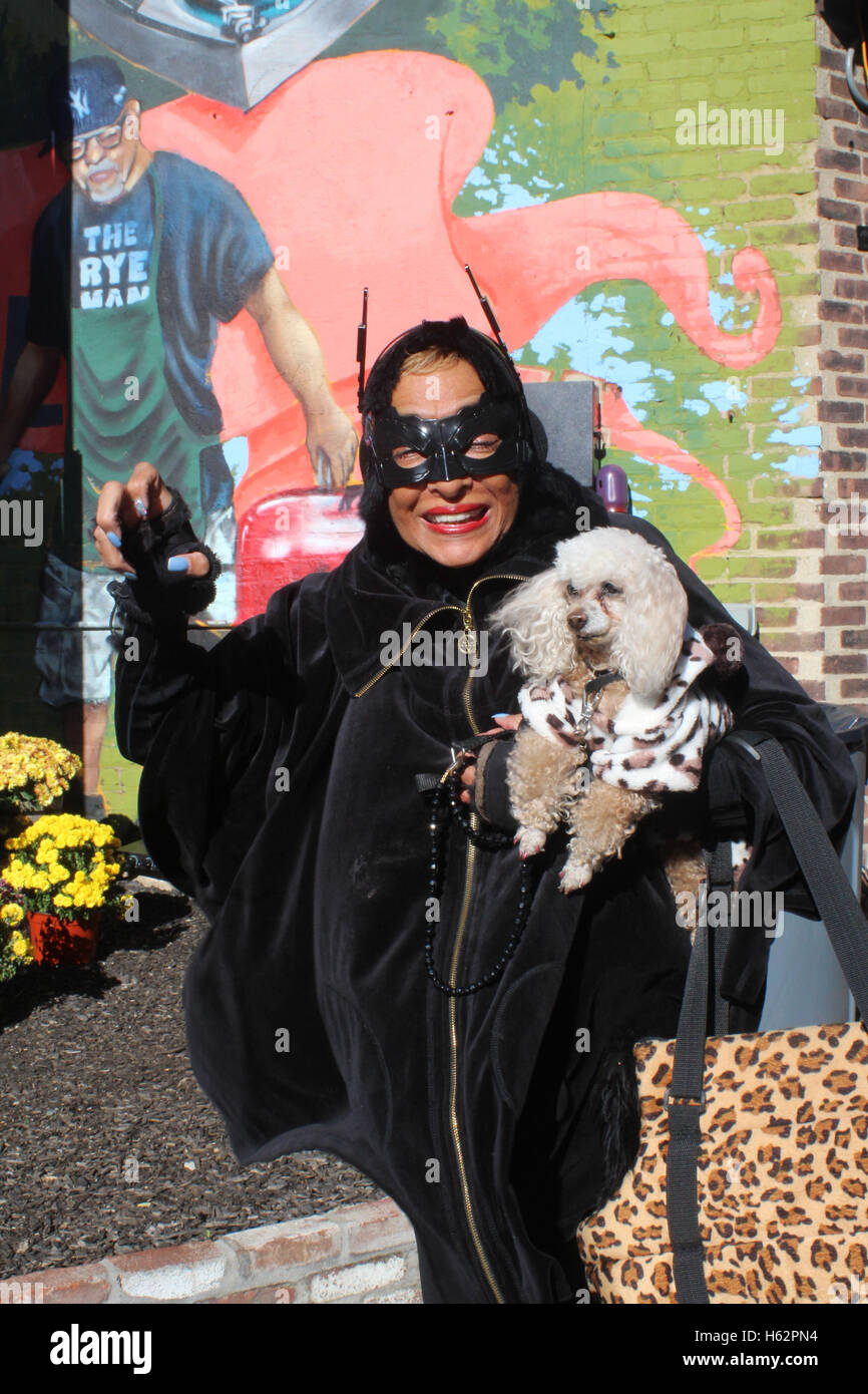 First Annual Bronx Pet Fair, New York City Stock Photo Alamy