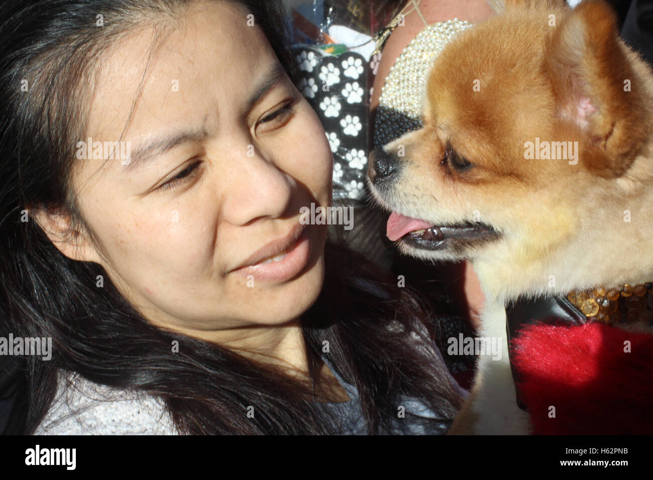 First Annual Bronx Pet Fair, New York City Stock Photo Alamy