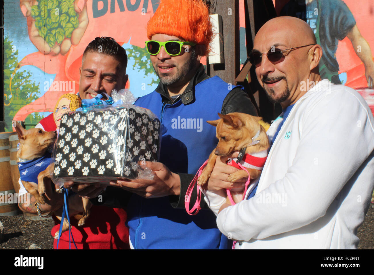 First Annual Bronx Pet Fair, New York City Stock Photo Alamy