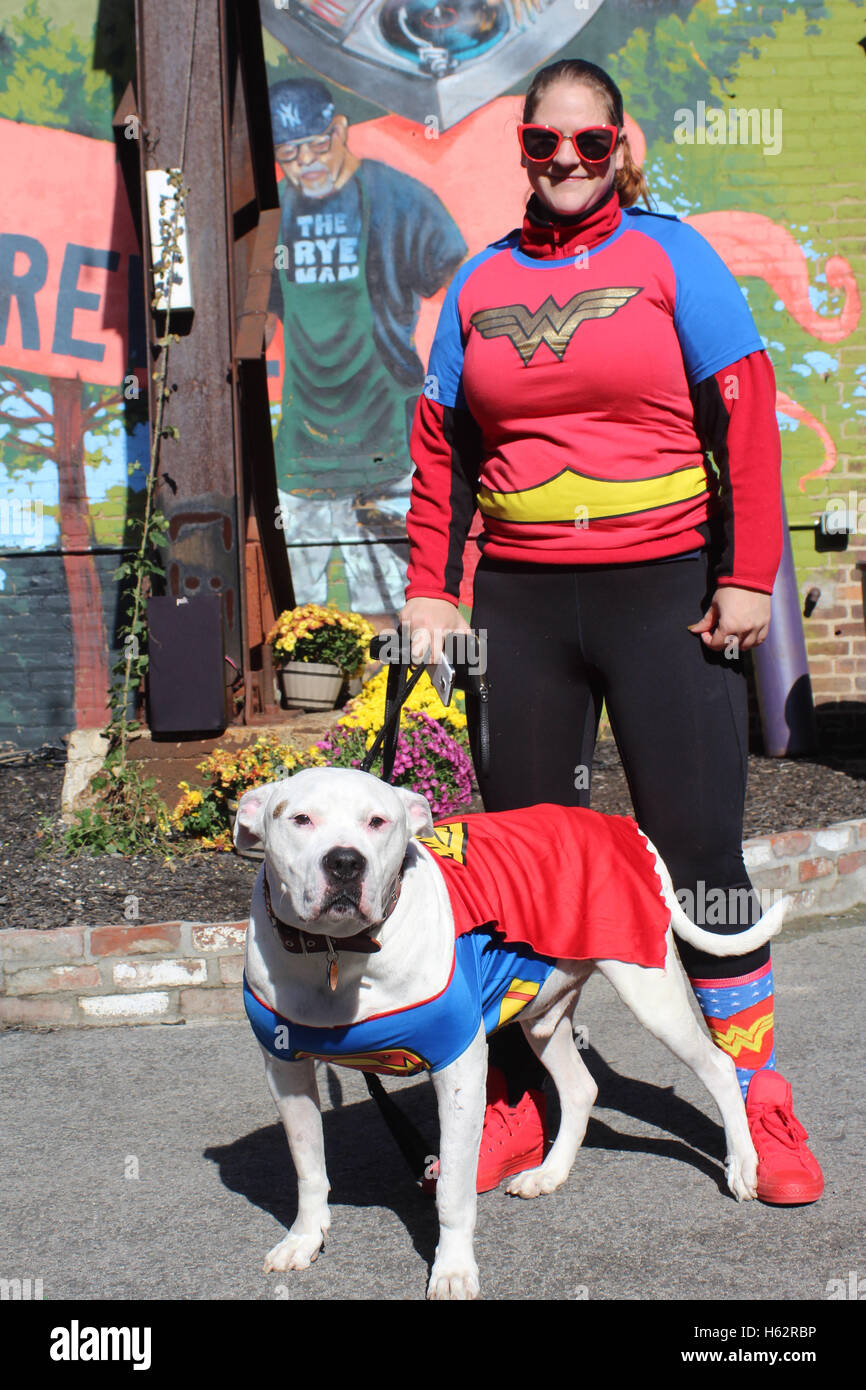 Pet look alike hires stock photography and images Alamy