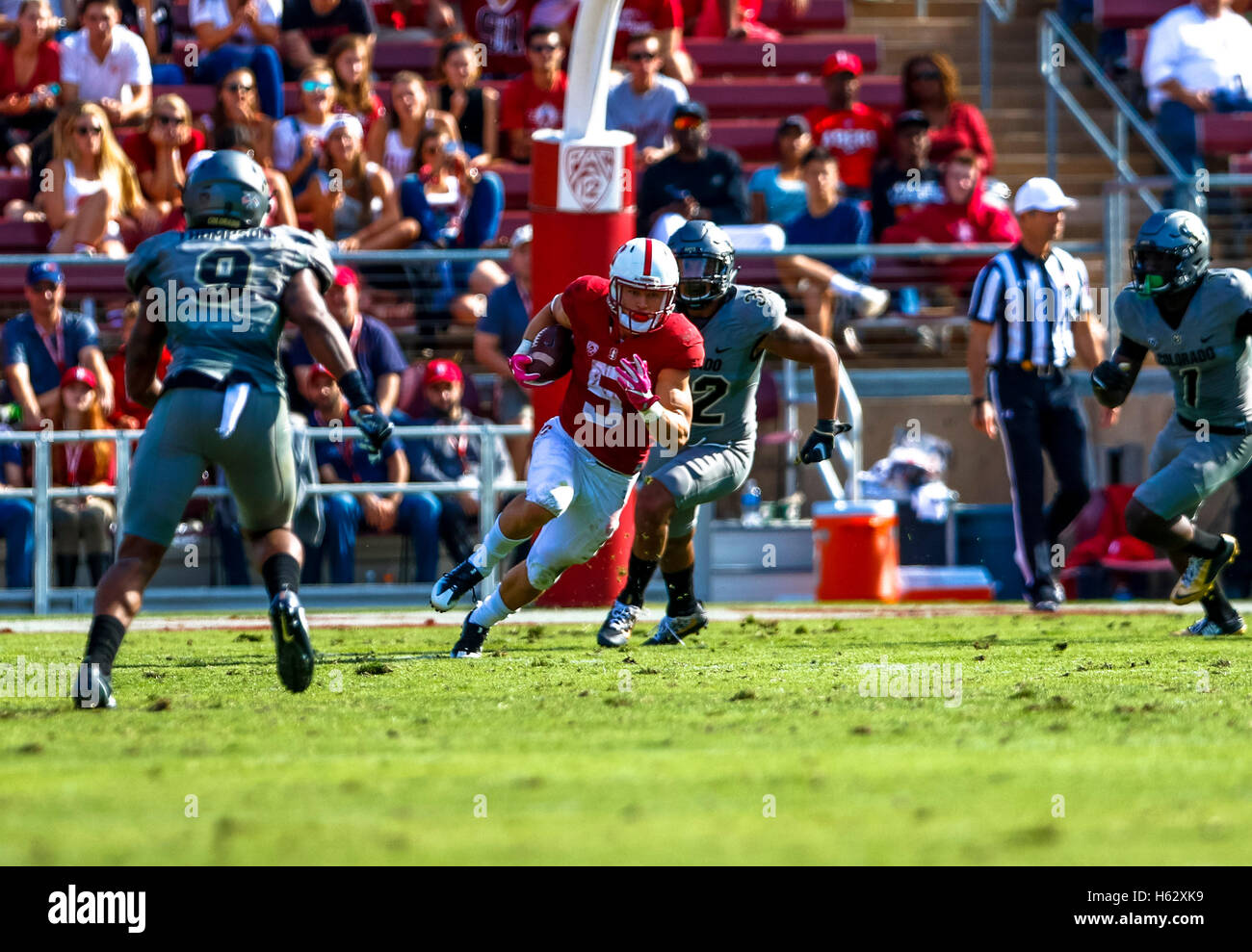 Palo Alto, California, USA. 22nd Oct, 2016. Stanford Running Back Christian McCaffrey (5) returns a punt in NCAA football action at Stanford University, featuring the Colorado Buffaloes visiting the Stanford Cardinal. Colorado won the game, 10-5. © Seth Riskin/ZUMA Wire/Alamy Live News Stock Photo