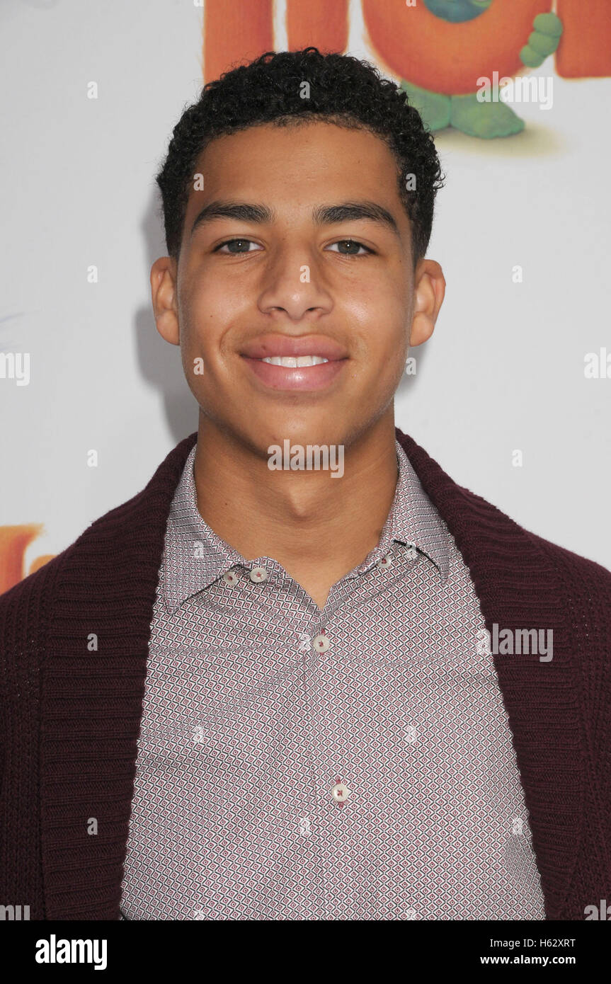 Marcus scribner hi-res stock photography and images - Alamy