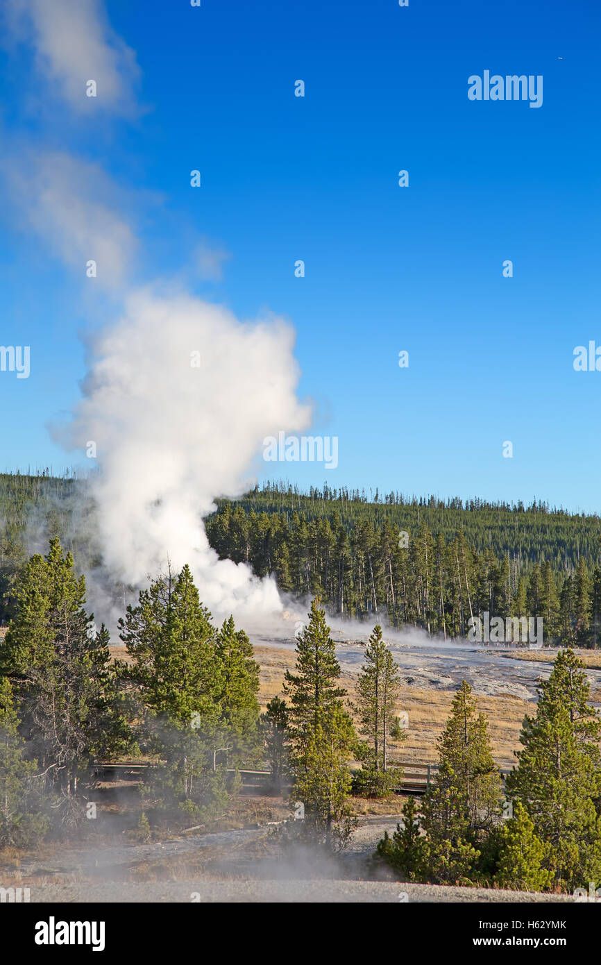 Old Faithful geyser eruption in the Yellowstone national park, USA ...