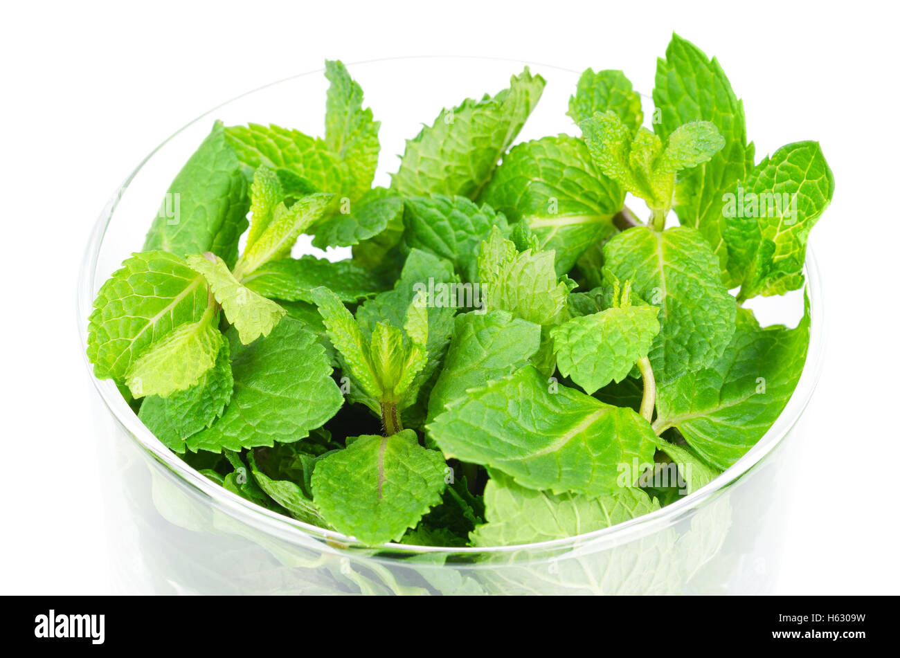 Fresh peppermint leaves in glass bowl over white. Green Mentha piperita is an edible herb. Stock Photo