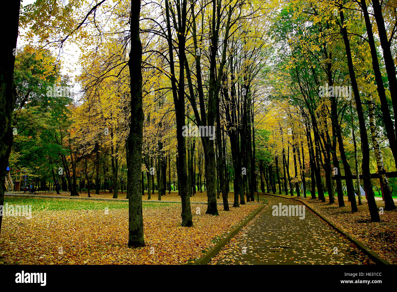 autumn landscape in the park Stock Photo - Alamy
