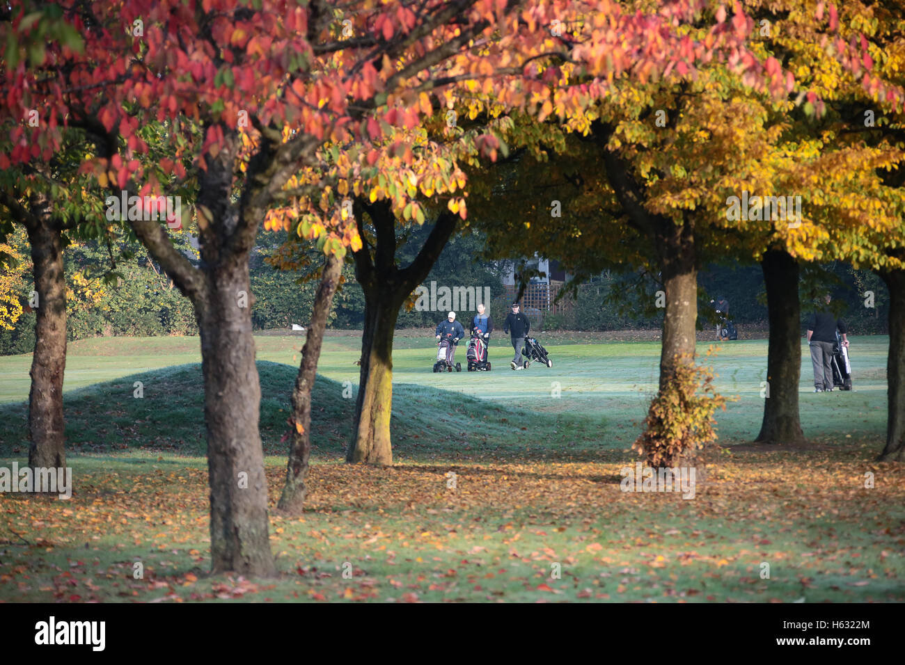 Autumnal scenes of golfers playing on Brent Valley golf course in west