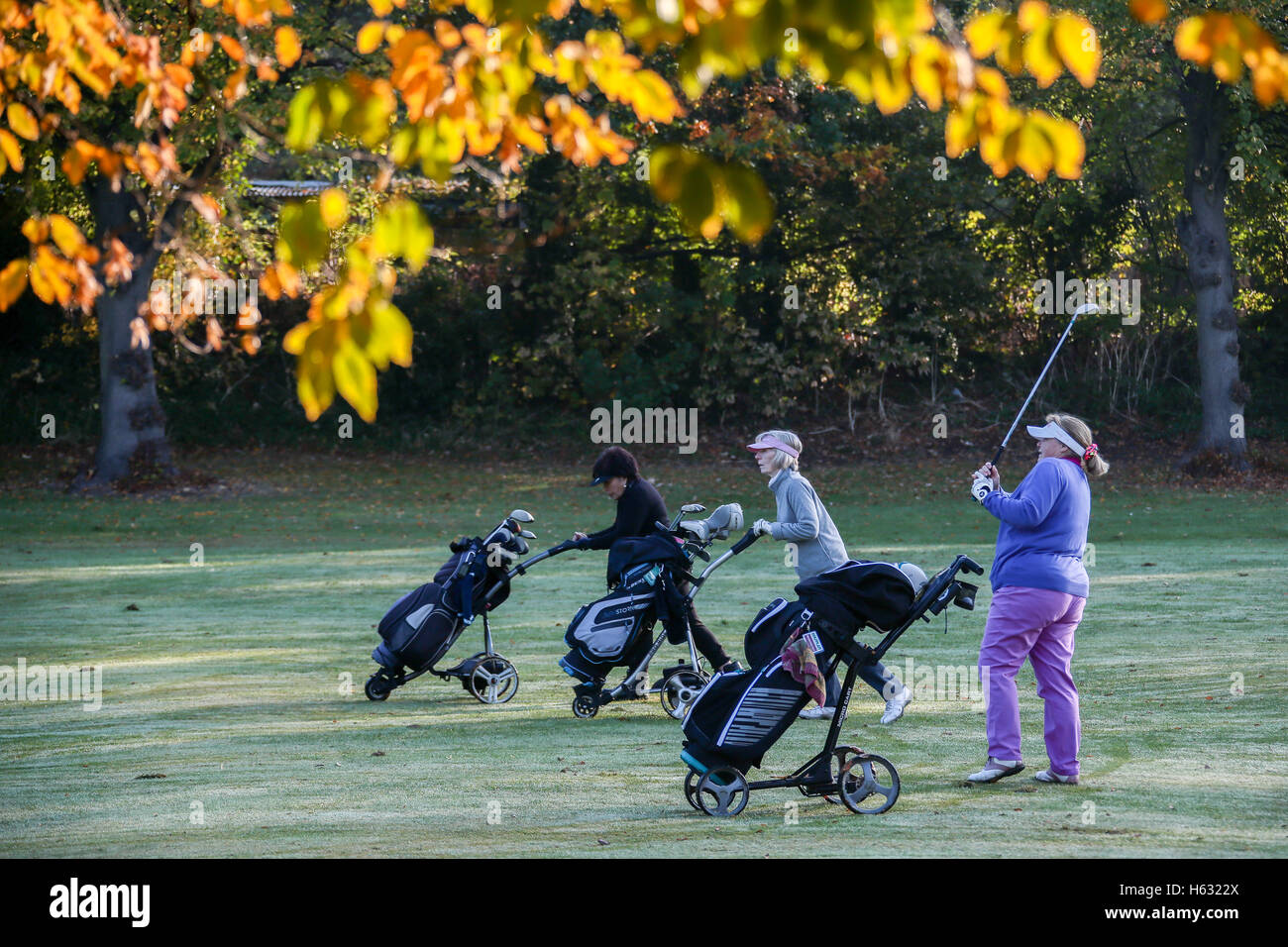 Autumnal scenes of golfers playing on Brent Valley golf course in west London. Photo date: Sunday, October 23, 2016. Photo credi Stock Photo