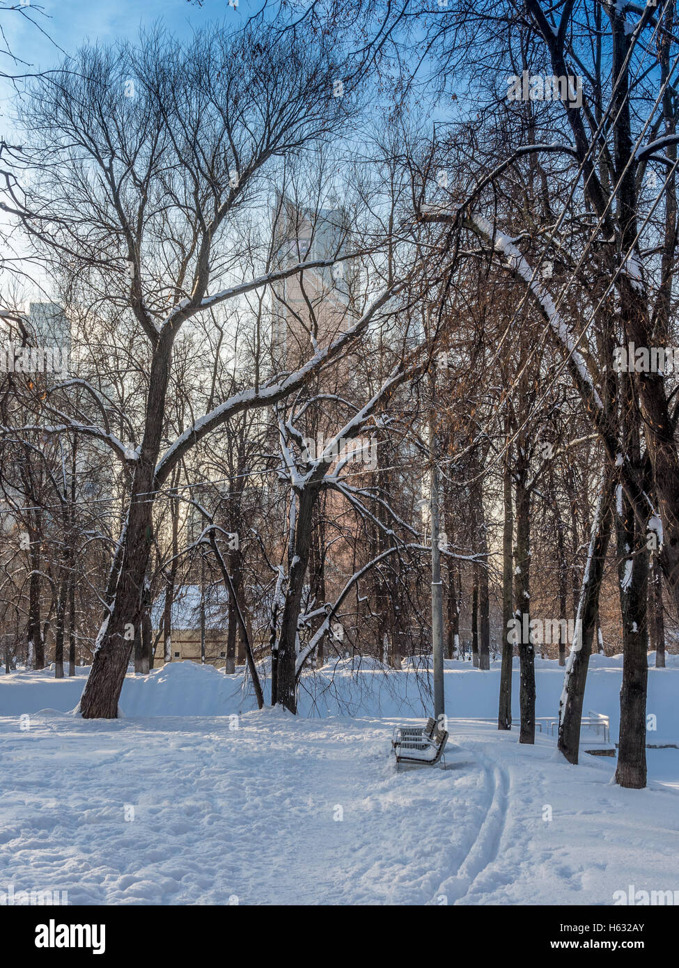 Park in the snow in Moscow - 4 Stock Photo - Alamy