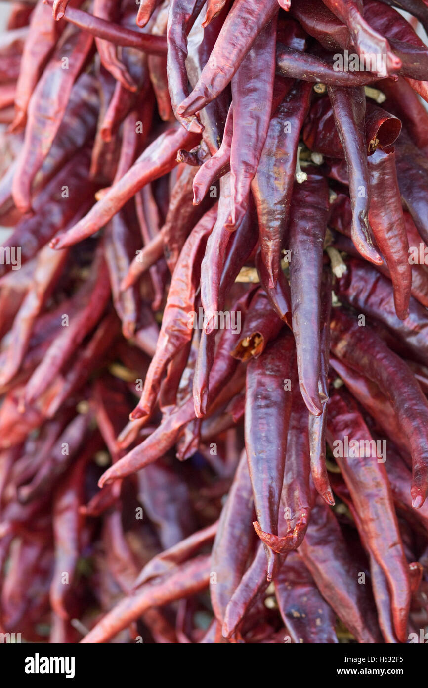Capsicum annuum Goat Horn Chilli Pepper drying out Stock Photo