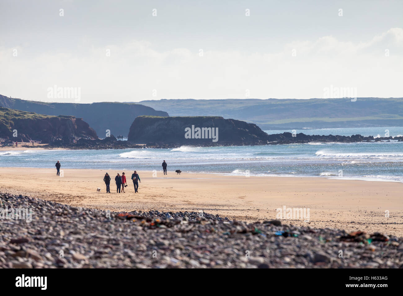 People on Freshwater West beach, Pembrokeshire, Wales, UK Stock Photo