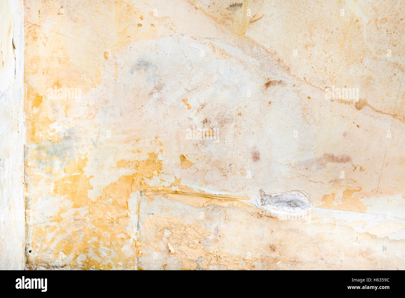 How To Remove Stains From Apartment Walls at Olive Lohmann blog