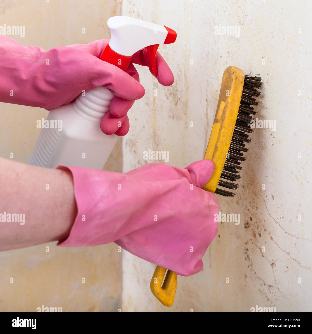 removing of mold from room wall with chemical liquid spray and metal