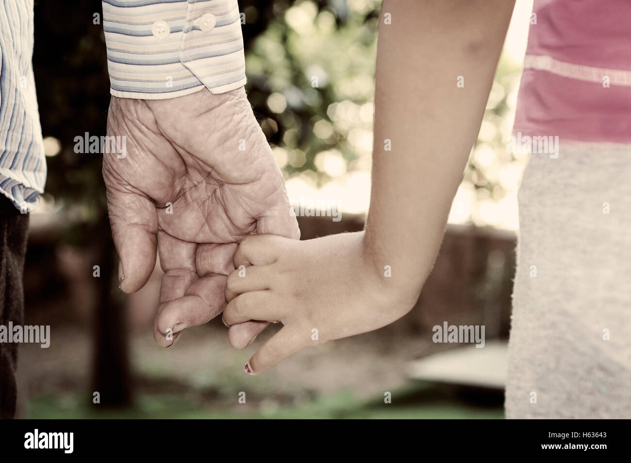 Cropped Hands Of Granddaughter And Grandfather Stock Photo