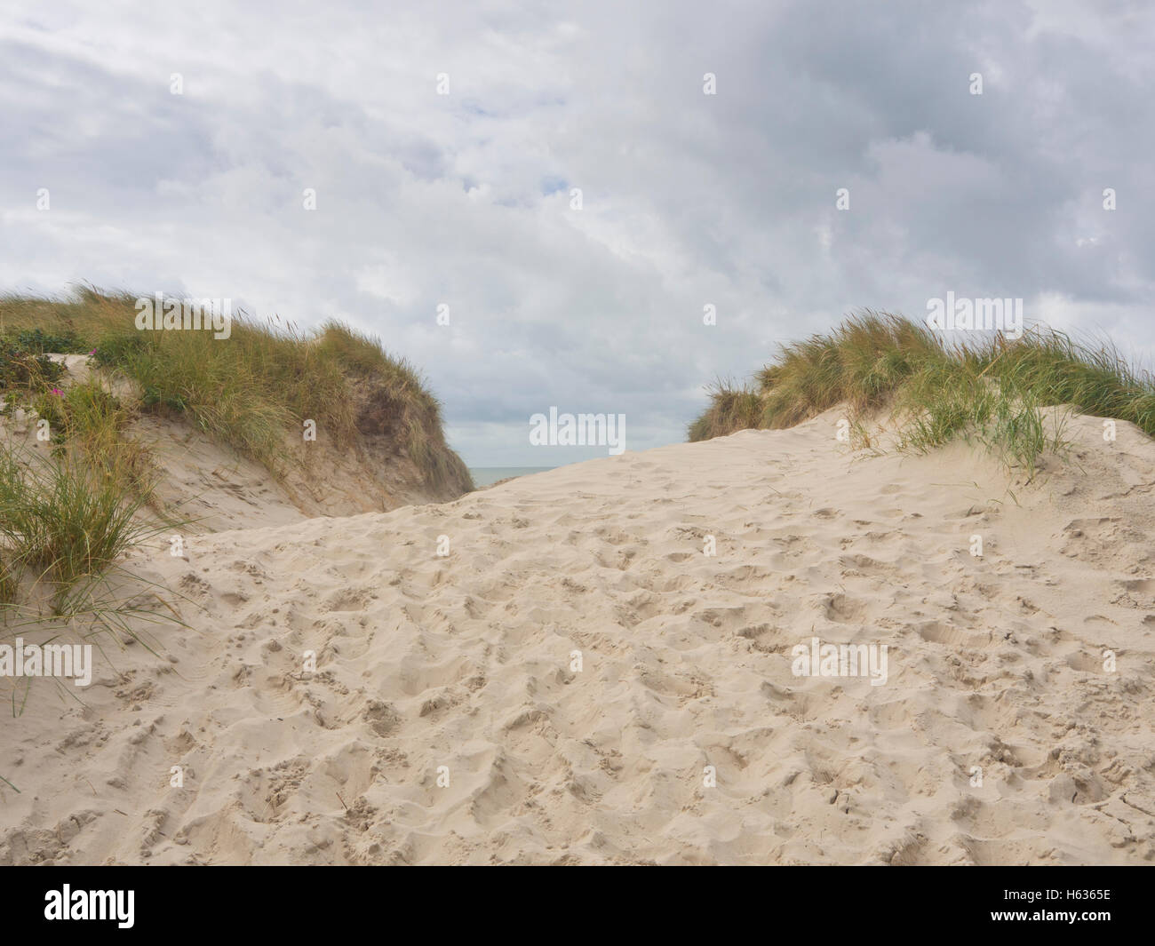 The Danish west coast is dominated by mile long beaches with fine white sand, view over the top of a well trodden sand dune Stock Photo