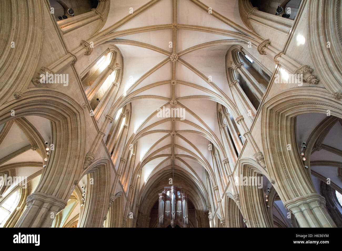 The ceiling and interior of Southwell Minister. Stock Photo