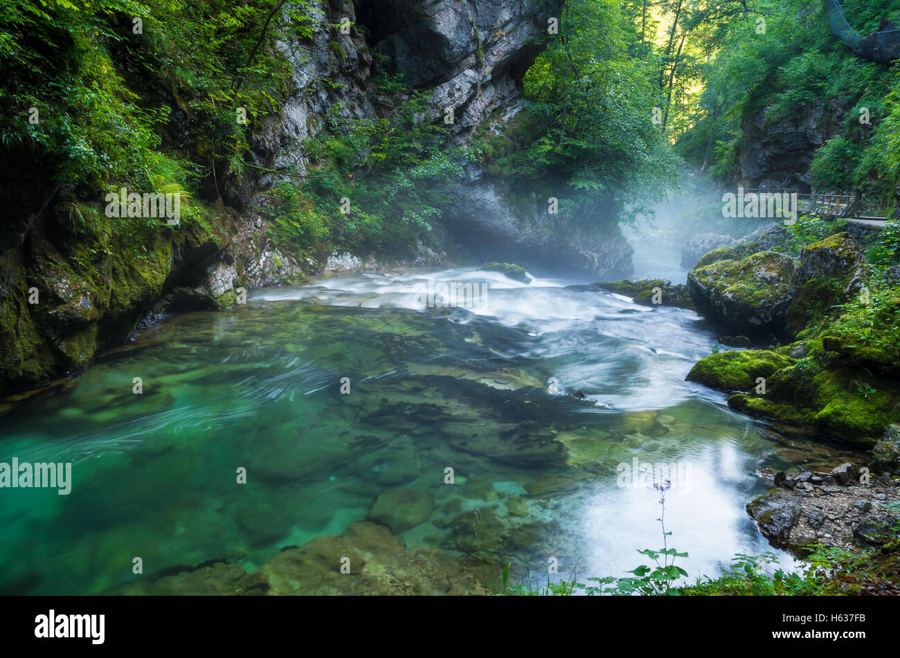 Vintgar gorge and Radovna river with walk path near Bled, Slovenia Stock Photo
