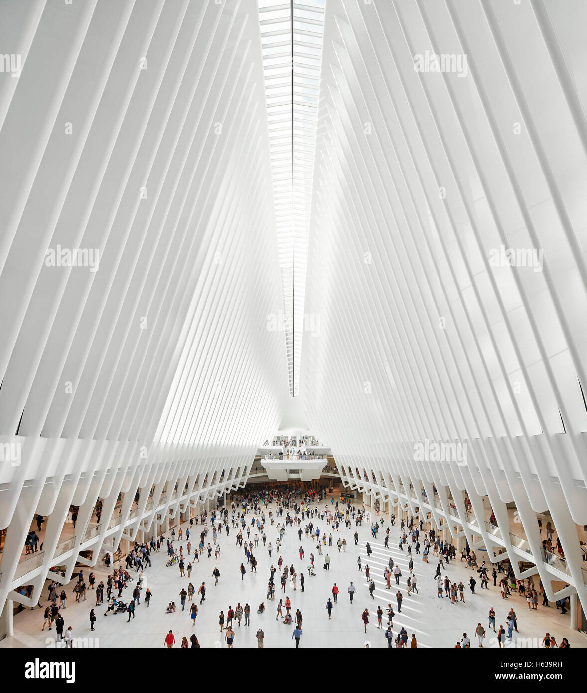 Viewing platform world trade center hi-res stock photography and images ...