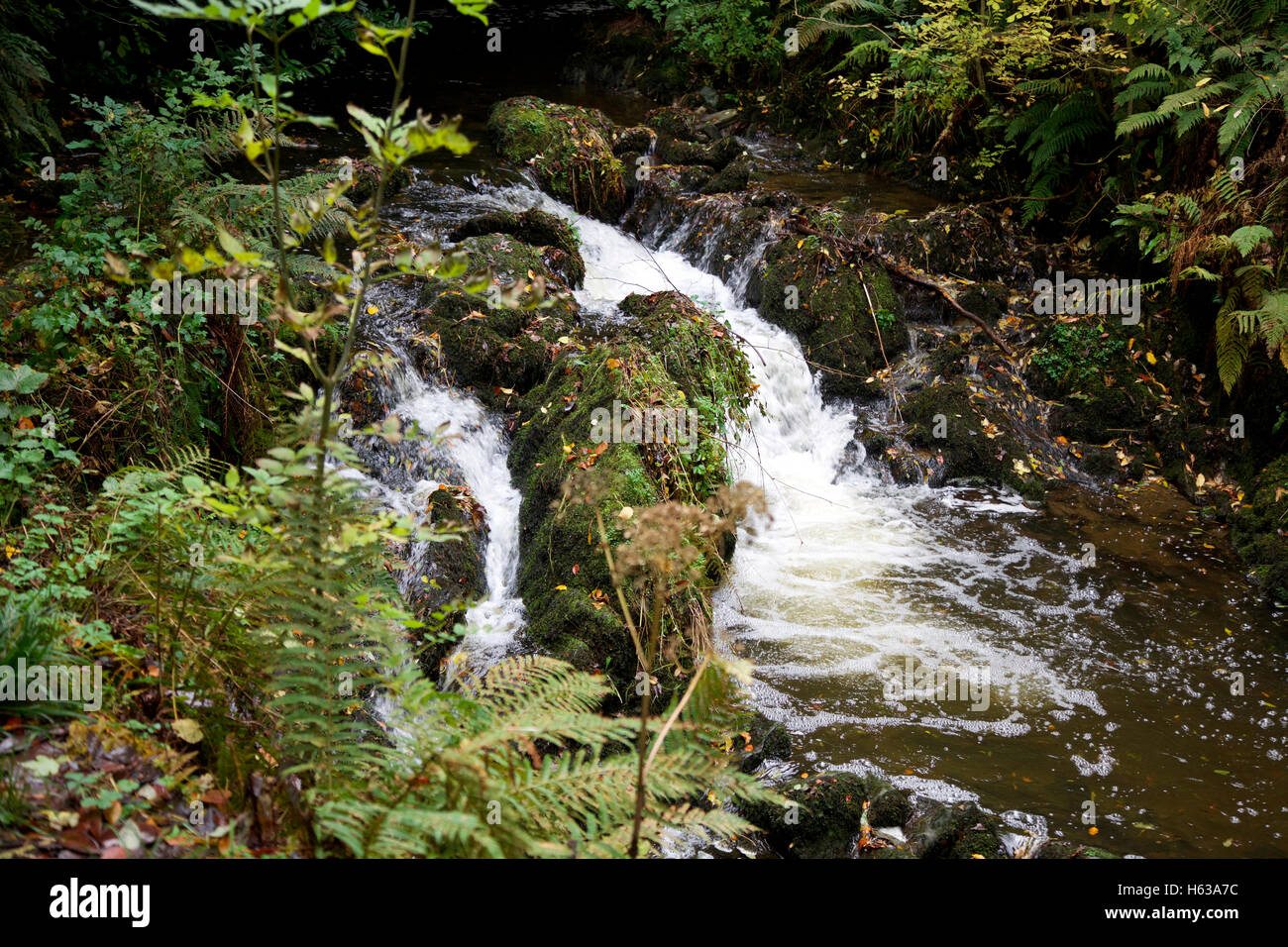 River Cabra cascade in Dun an Ri Forest Park, Co.Cavan Stock Photo