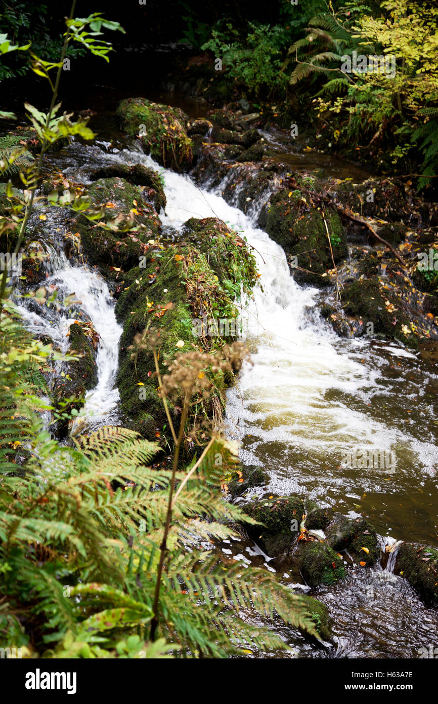 River Cabra cascade in the Dun an Ri Forest Park, Co. Cavan Stock Photo