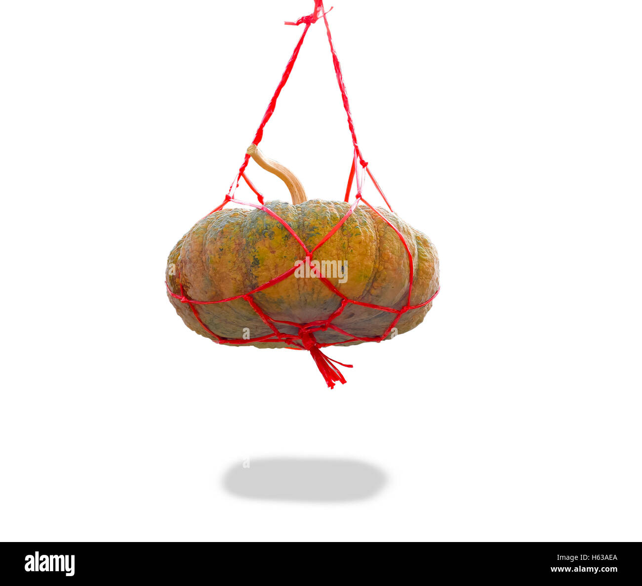 pumpkin isolated on white background Stock Photo - Alamy