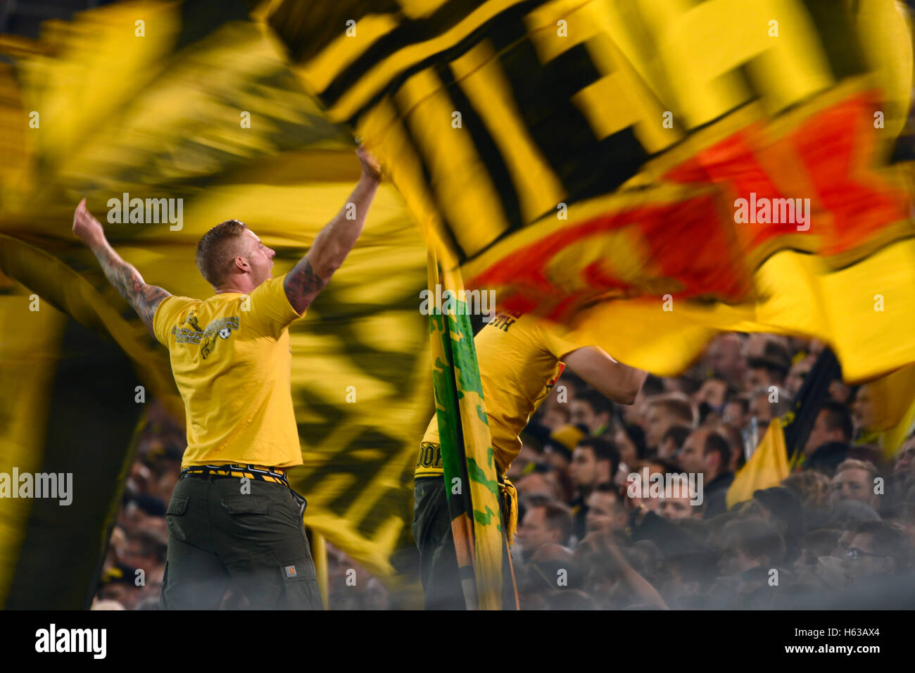 Signal-Iduna Arena Dortmund Germany 14.10.2016, 1. Football Bundesliga  Season 2016/2017 matchday 7, Borussia Dortmund (BVB) vs. Hertha BSC ---  capos of the Dortmund ultra fans amongst yellow flags Stock Photo - Alamy