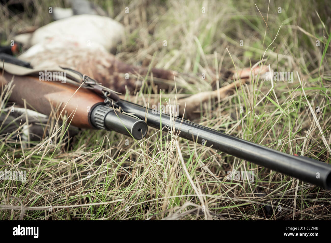 Hunting gun on grass during duck hunting season Stock Photo Alamy