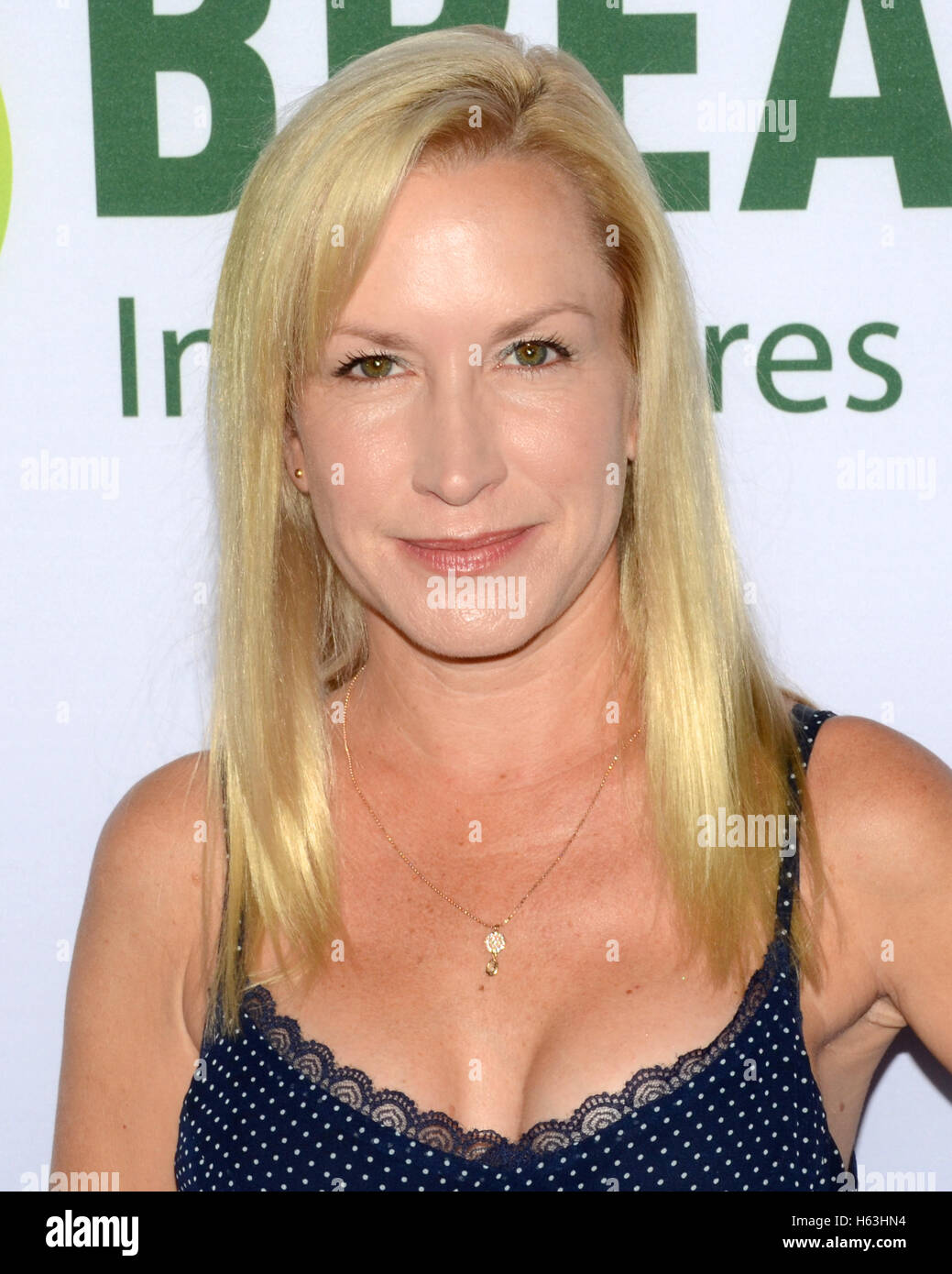 Angela Kinsey Nipple