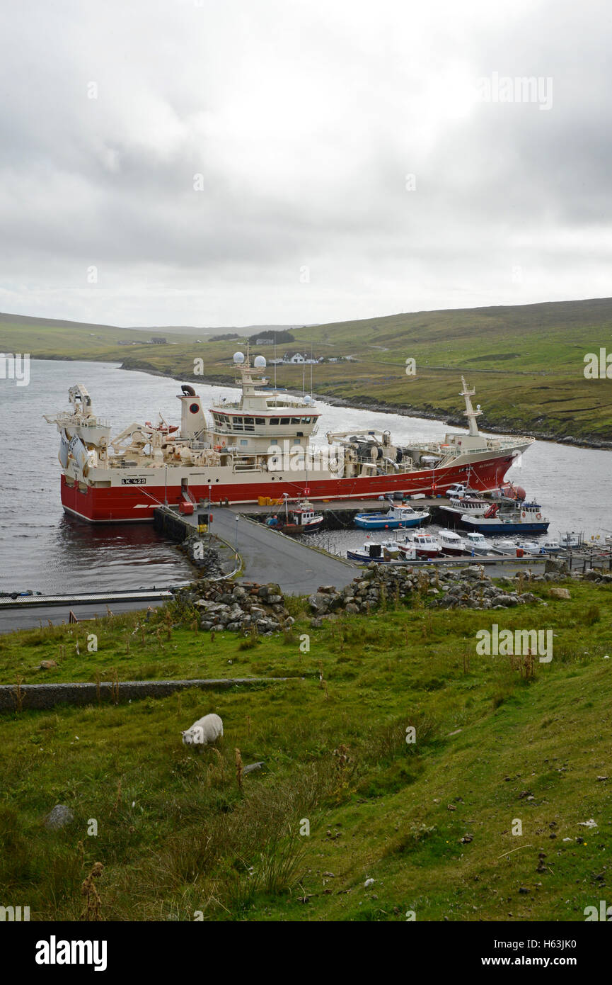 Altaire pelagic fishing boat on the Collafirth pier in north Shetland