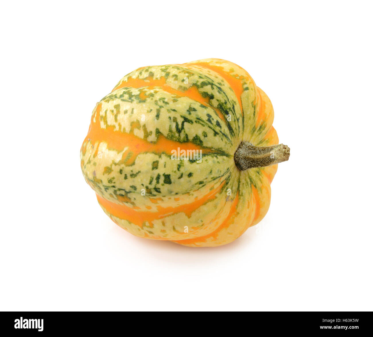 Green and yellow striped Festival squash, isolated on a white background Stock Photo