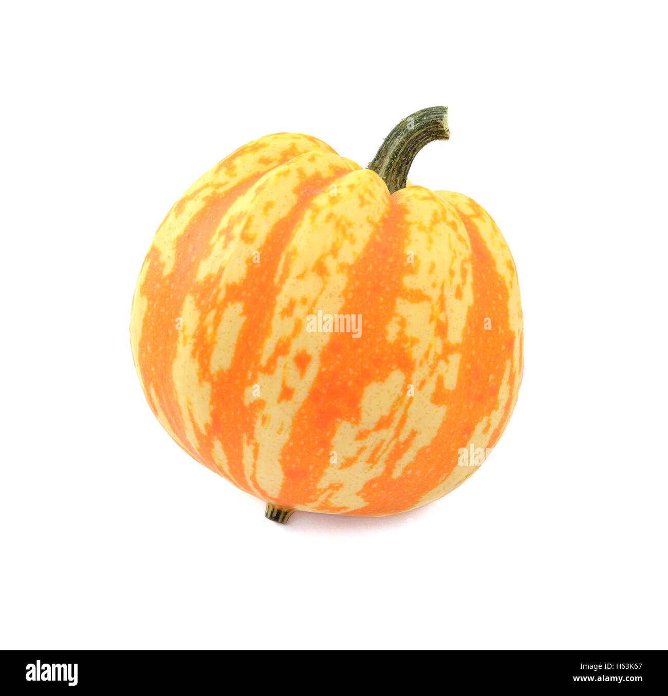 Festival squash with orange and yellow stripes, isolated on a white background Stock Photo