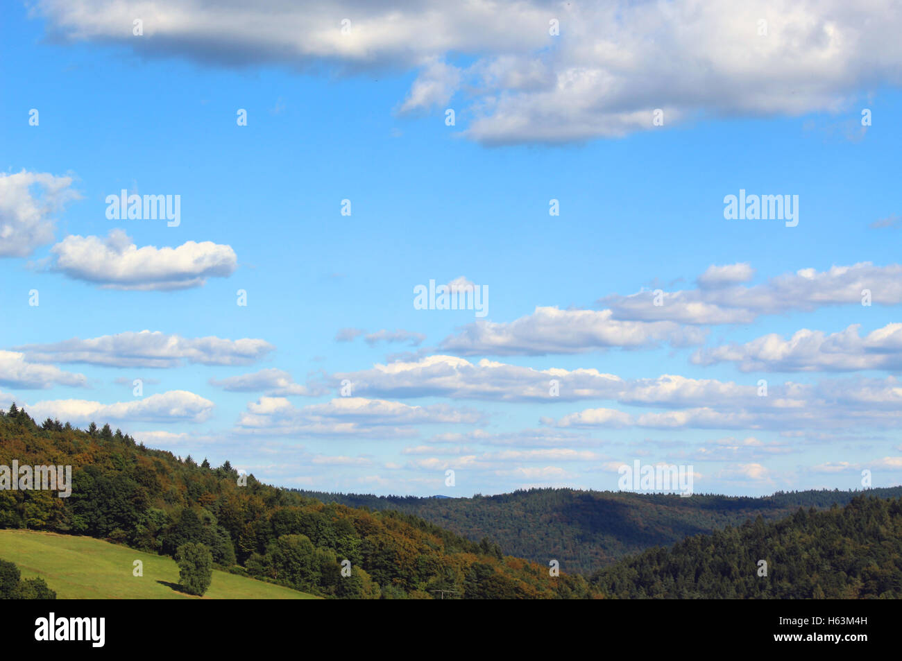Landscape with wood, hills and sky with clohds Stock Photo
