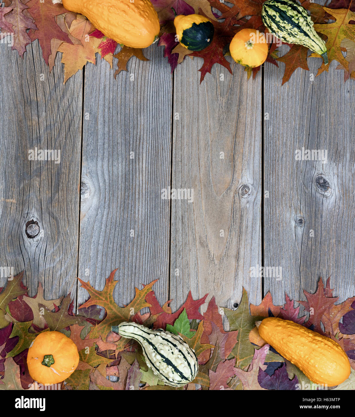 Overhead view of real seasonal autumn gourds and leaves with upper and lower borders on rustic wooden boards. Stock Photo