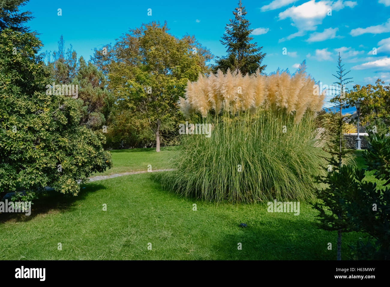 Beautiful green park Stock Photo Alamy