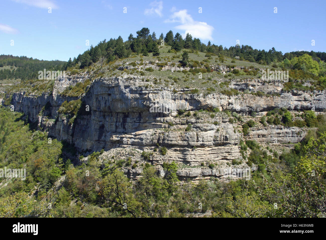 Rocky limestone outcrop in the lower southern French Alps Stock Photo