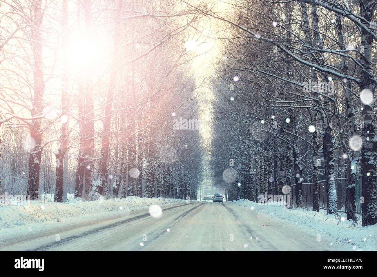 road trees winter sunset Stock Photo - Alamy
