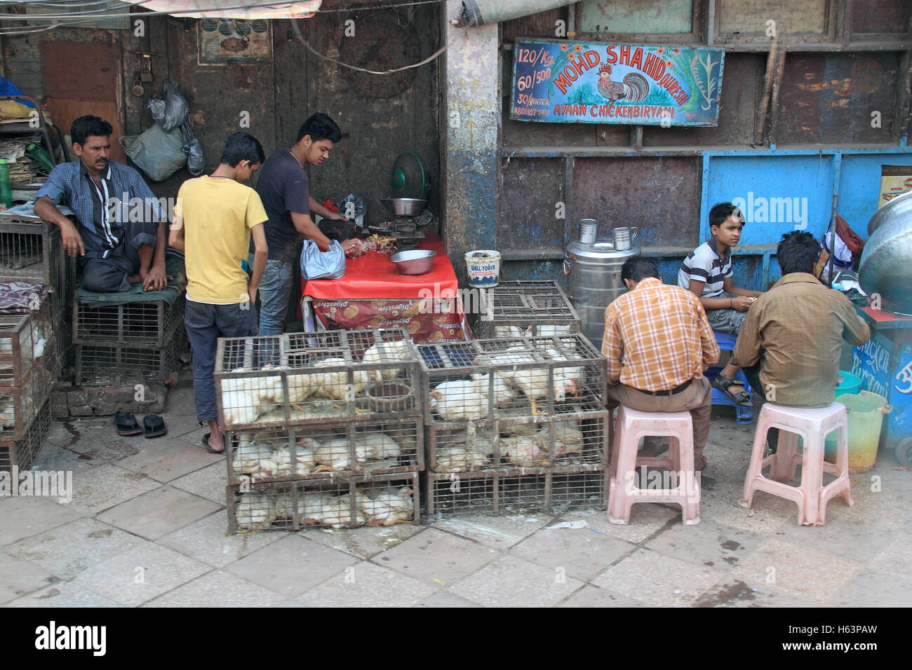 Chicken Biryani street food stall, Old Delhi, India, Indian