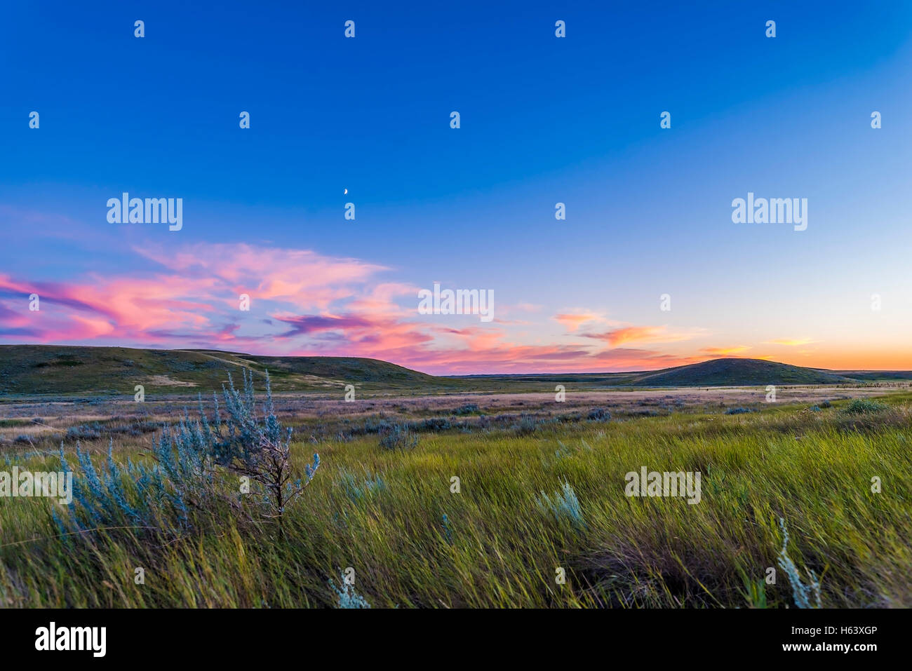 The waxing crescent Moon in twilight over the sage and priairie grass of Grasslands National Park, Saskatchewan, in the Frenchma Stock Photo