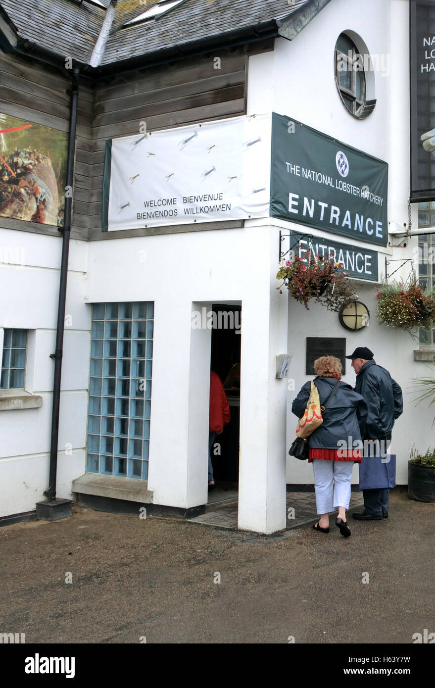 The National Lobster Hatchery, Padstow, Cornwall, England, UK Stock