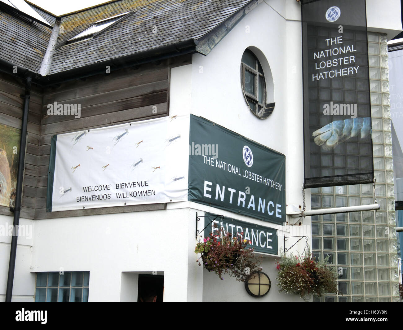 The National Lobster Hatchery, Padstow, Cornwall, England, UK Stock