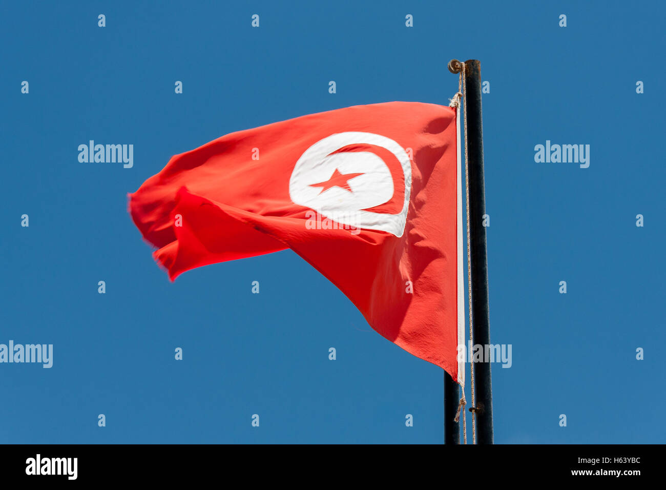Tunisian flag against a blue sky Stock Photo