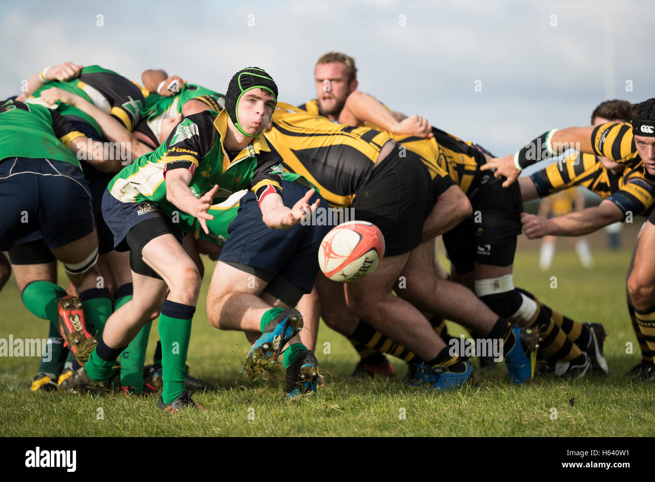 Rugby player wearing scrum cap hires stock photography and images Alamy