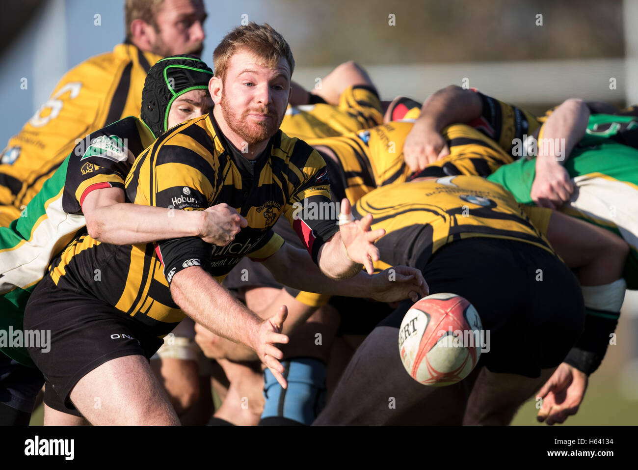 North Dorset RFC 2nd XV vs Bournemouth III XV - Dorset, England. Bournemouth scrum half in action. Stock Photo