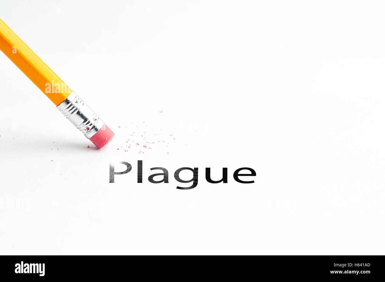 Pencil with eraser Stock Photo Alamy