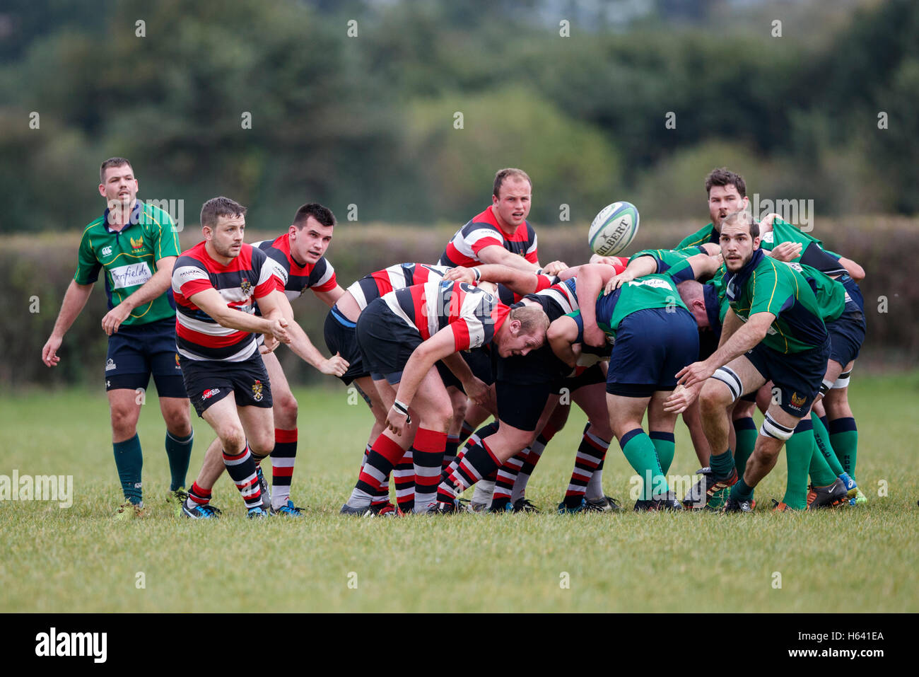 NDRFC 1st XV vs Frome RFC 1st XV - Dorset, England. Frome  Scrum half in action, Stock Photo