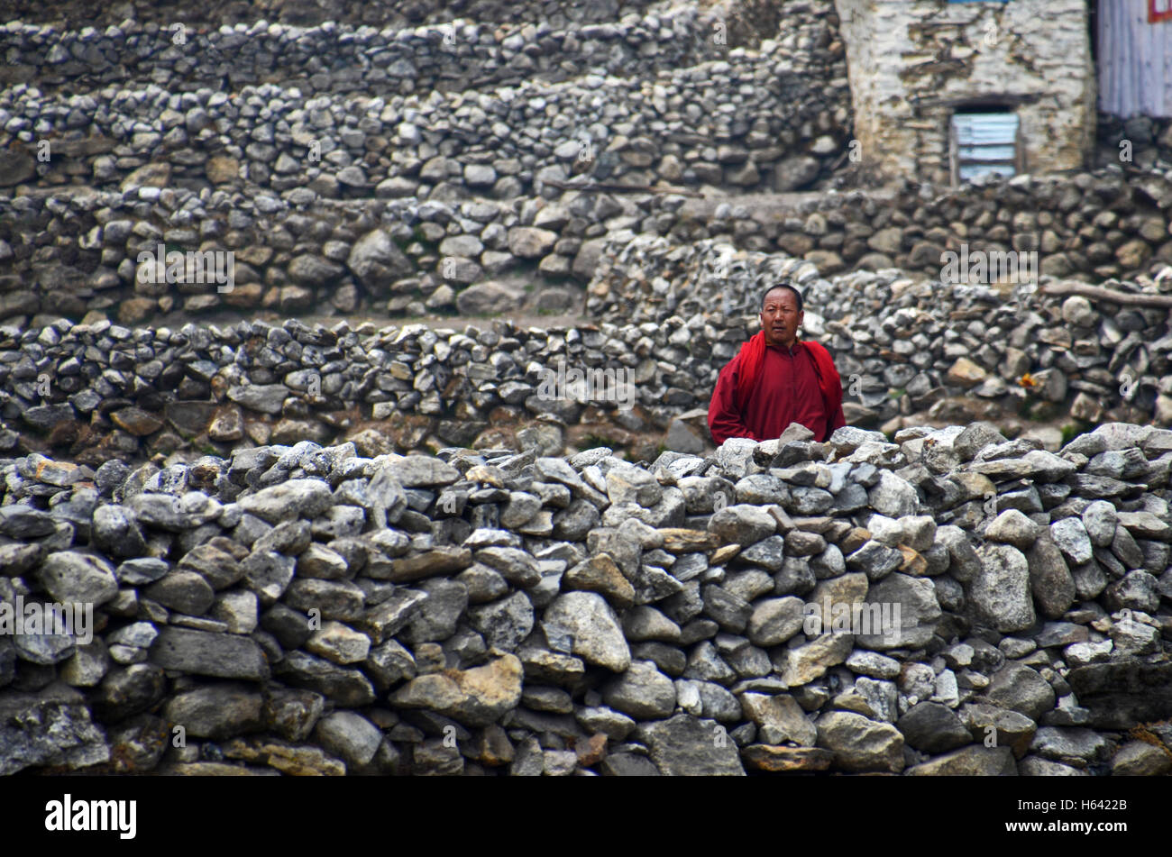 Buddhist monk walks hi-res stock photography and images - Alamy