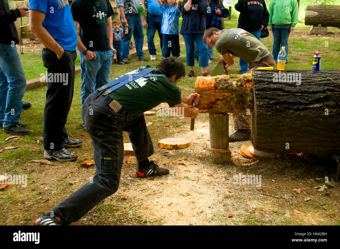 Double Bucking, Linn County Loggers' Jamboree, Linn County Pioneer